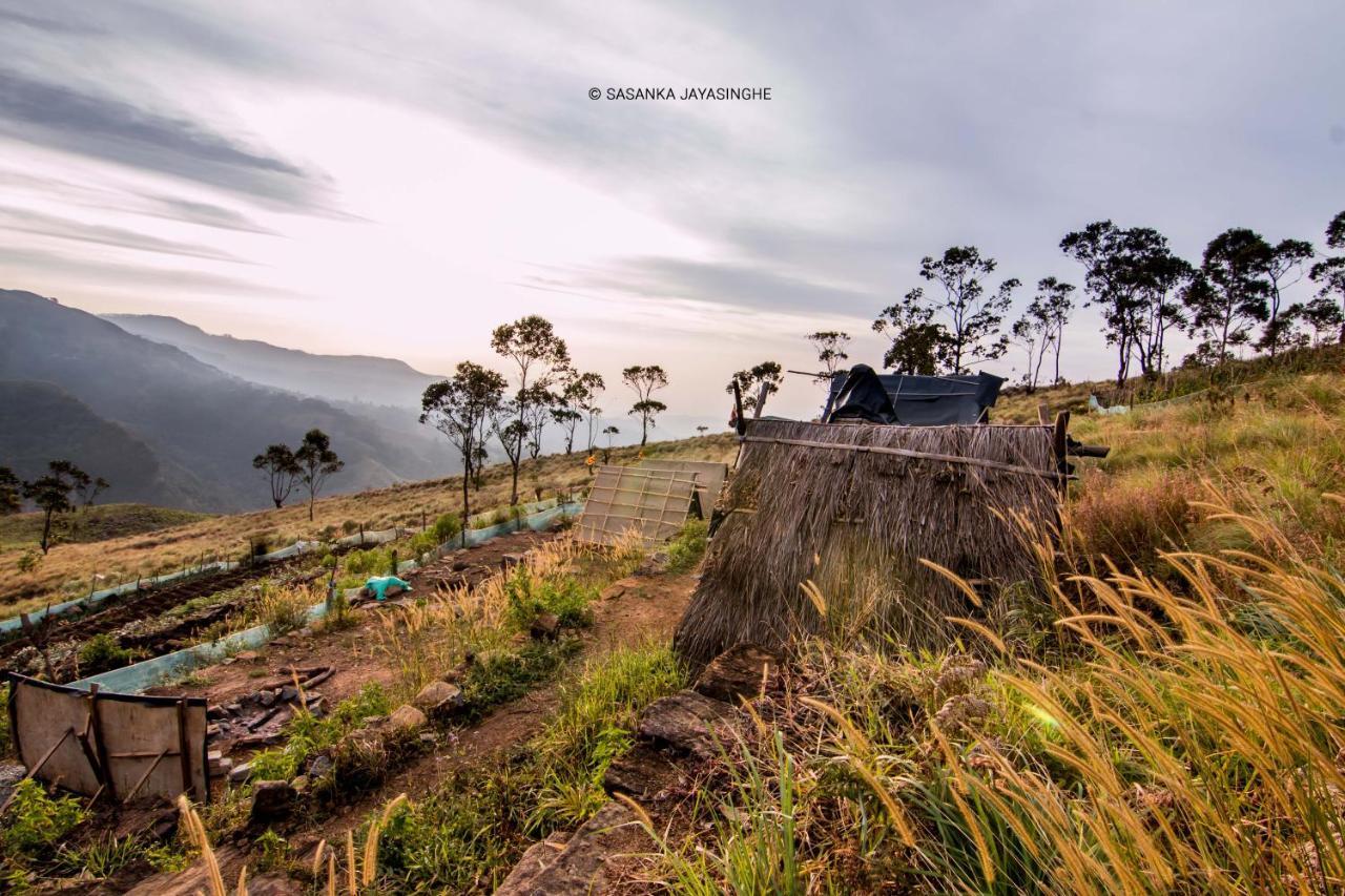 Eco Lodge Haputale-Camping Sri Lanka Dış mekan fotoğraf