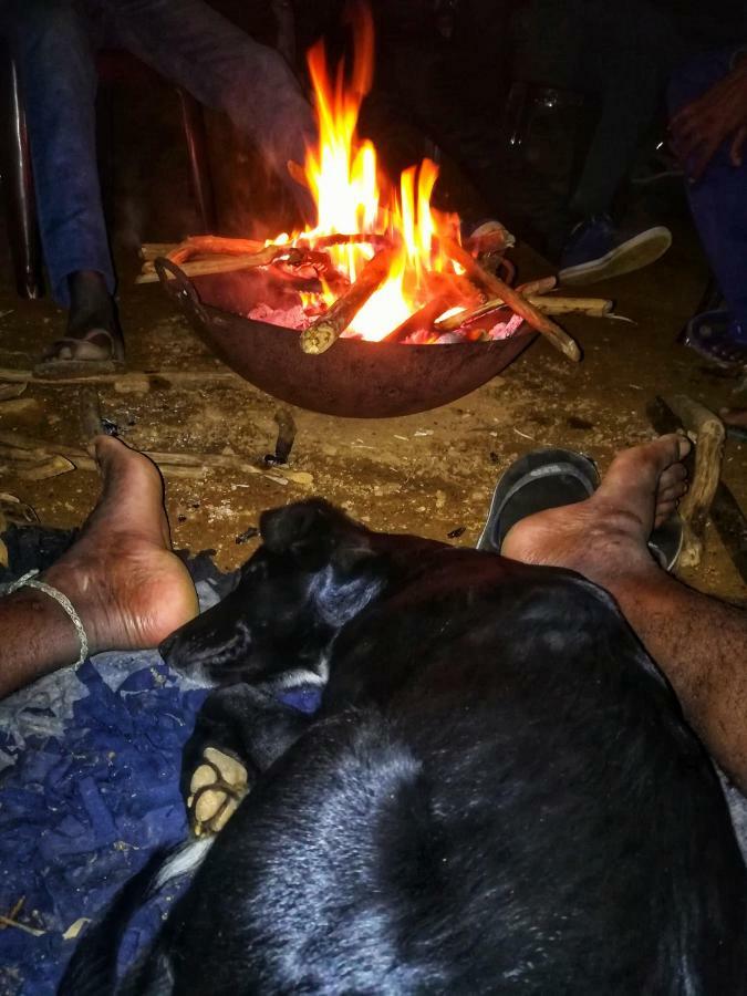 Eco Lodge Haputale-Camping Sri Lanka Dış mekan fotoğraf