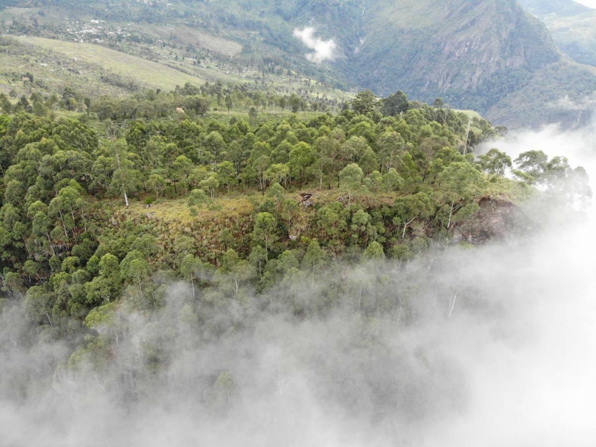 Eco Lodge Haputale-Camping Sri Lanka Dış mekan fotoğraf