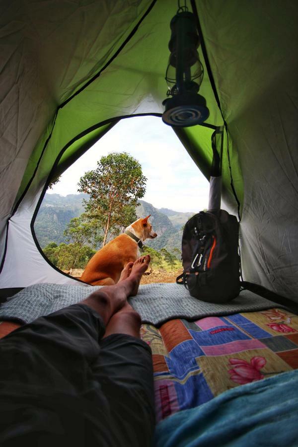 Eco Lodge Haputale-Camping Sri Lanka Dış mekan fotoğraf