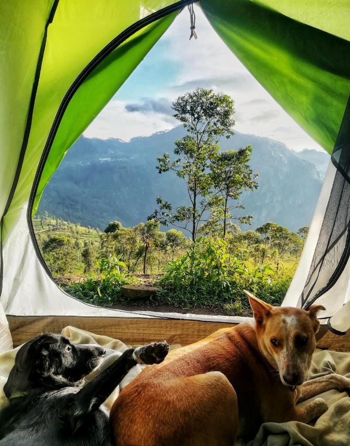 Eco Lodge Haputale-Camping Sri Lanka Dış mekan fotoğraf